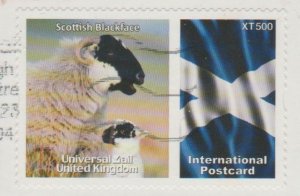 Great Britain - Universal Mail United Kingdom - International Postcard - Sheep