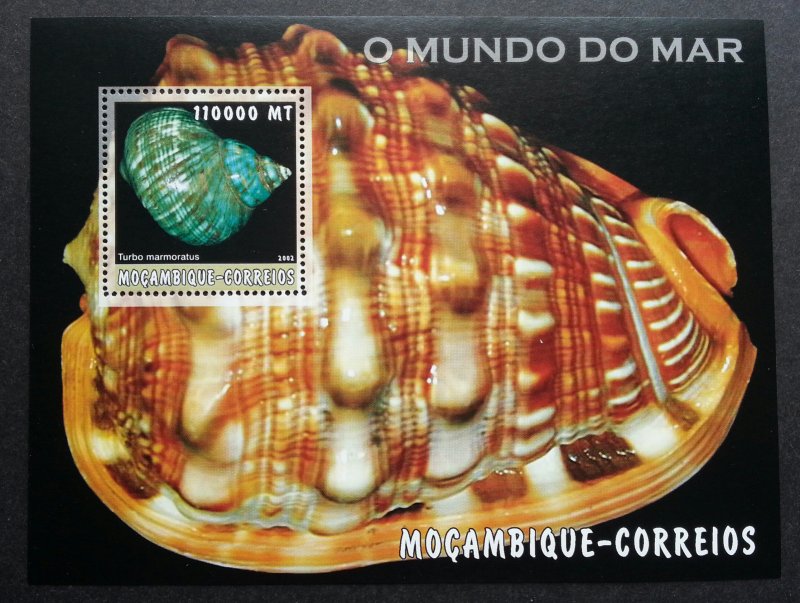 *FREE SHIP Mozambique Shells 2002 Ocean Seashell Marine Life (ms) MNH