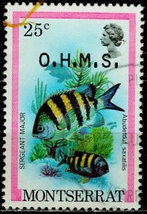 Montserrat; 1981: Sc. # O49; Used Single Stamp