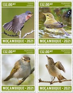 Mozambique - 2021 Warbler Birds, Willow - Set of 4 Stamps - MOZ210308a