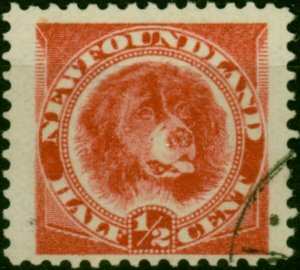 Newfoundland 1887 1/2c Rose-Red SG49 Fine Used (2)