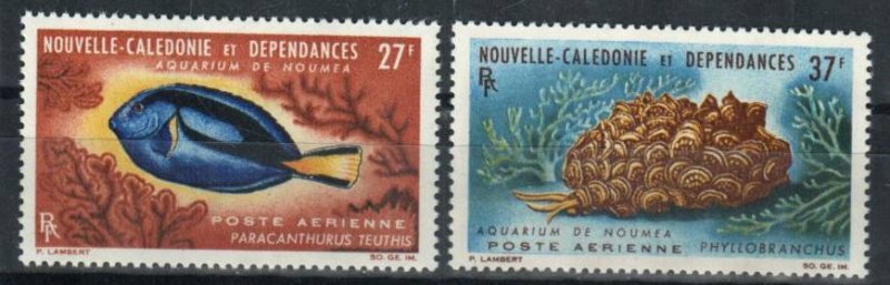 New Caledonia Stamp C36-C37  - Marine life