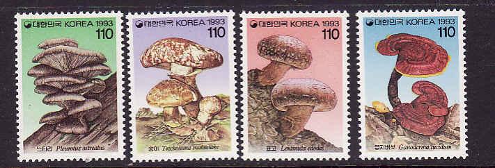D2-Mushrooms-Fungi-Korea-Sc#1696-9-unused NH set-1993-