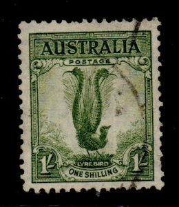 Australia Sc 175a 1937 1/ Lyre Bird pf 13 1/2 x 14 stamp used
