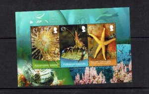 Falkland Islands: 2013, Shallow Marine Survey, joint issue, M/Sheet MNH