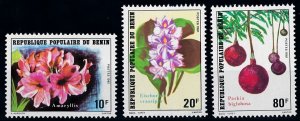 [67455] Benin 1981 Flora flowers blumen fleur  MNH