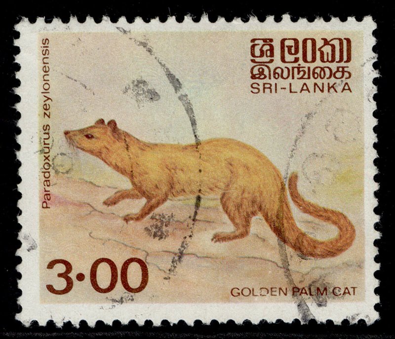 SRI LANKA QEII SG781, 3r golden palm civet, FINE USED.