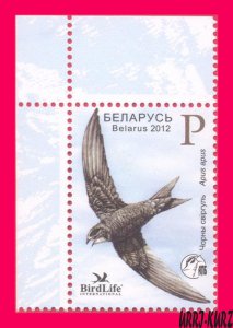 BELARUS 2012 Nature Fauna Bird of Year Black Swift 1v Mi914 MNH