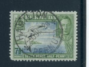 Bermuda 121D  Used (2)
