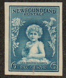 Newfoundland 192a Mint never hinged