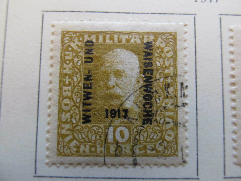 Bosnia & Herzegovina 1917 10h fine used semi-postal stamp A13P18F54