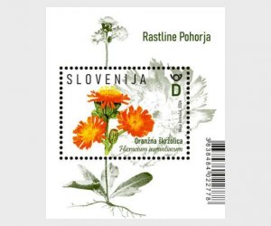 Slovenia / Slovenië - Postfris/MNH - Sheet Flora 2024