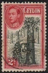 Ceylon #278 - Tapping Rubber Trees - Used