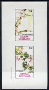 Grunay 1982 Flowers #03 (Calycanthus & Lasiopetalum) ...