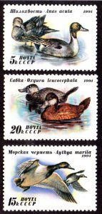 RUSSIA 6009-11 MNH BIN $1.00 DUCKS