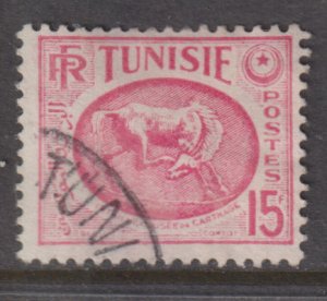 Tunisia 221 Horse, Carthage Museum 1950