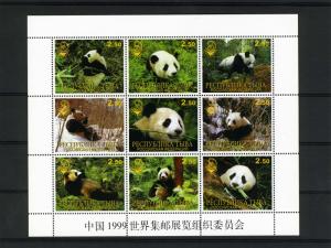 Tuva 1999 Giant Panda Philatelic Exhibition China Sheet Perforated mnh.vf