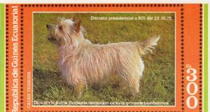 Equatorial Guinea 1978 Mi#E309 DOGS CAIRN TERRIER Souvenir Sheet Imperforated