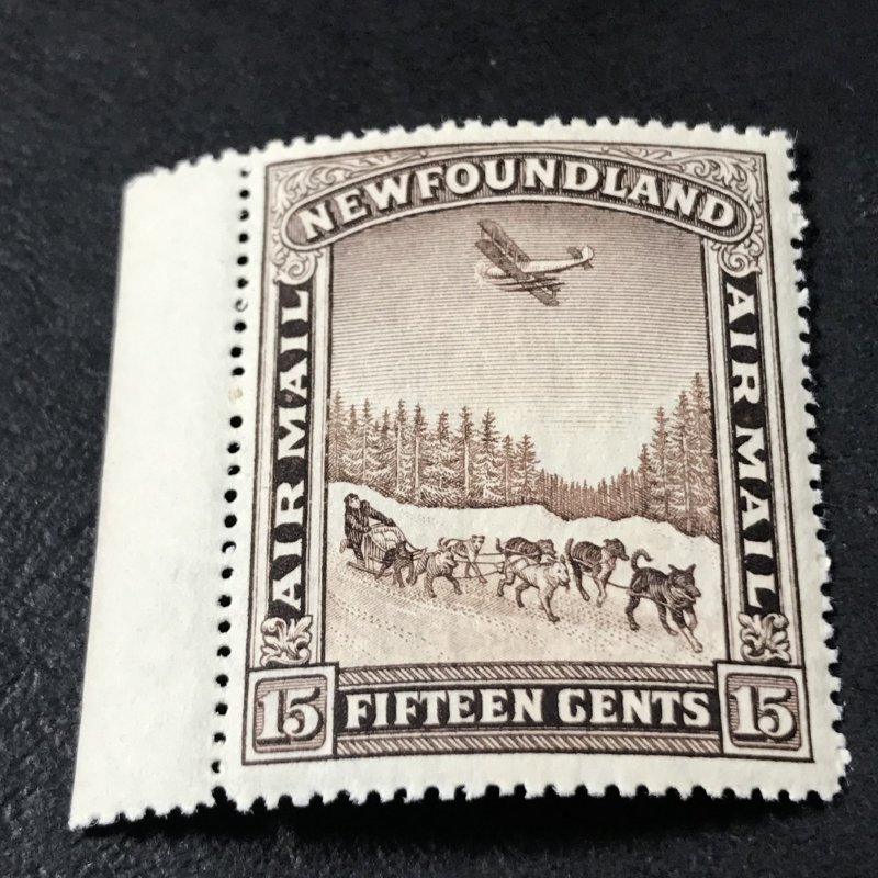 NEW FOUNDLAND # C9-MINT/NEVER HINGED----AIR/MAIL----1931(LOTB)