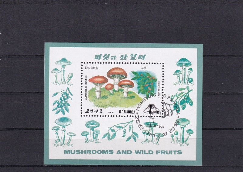 SA16e Korea 1989 Mushrooms and Wild Fruits used minisheet