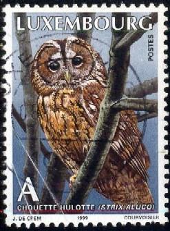 Bird, Owl, Strix Aluco, Luxembourg SC#1004 used