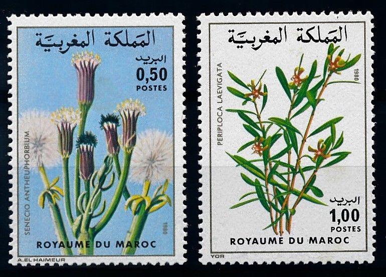 [66573] Morocco 1980 Flora Plants Pflanzen  MNH