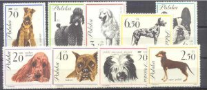 Poland 1115-23 MNH Dogs SCV9.45