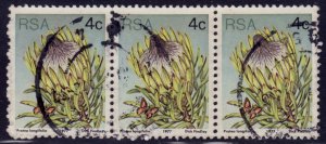 South Africa, 1977, Flora - Protea longifolia, 4c, used**