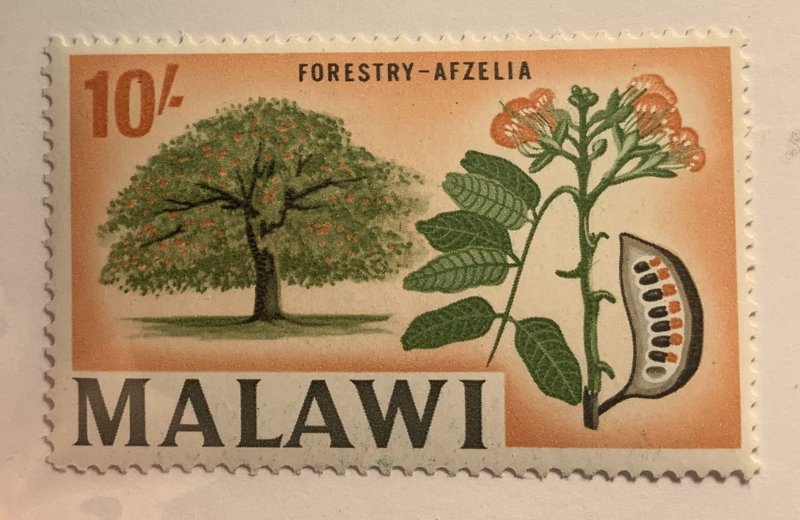 Malawi 1964  Scott 16 MNH - 10s, Forestry, Afzelia