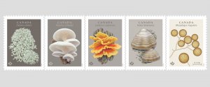 CANADA 2025 MNH = FUNGI / MUSHROOMS = Die Cut strip of 5 booklet stamps