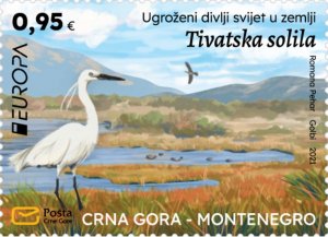 Montenegro 2021 MNH Stamps Scott 476 Europa CEPT Wildlife Birds