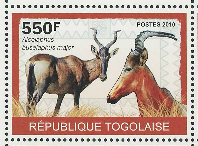 Antelopes Stamp Alcelaphus Buselaphus Major Hippotragus Equinus S/S MNH #3449