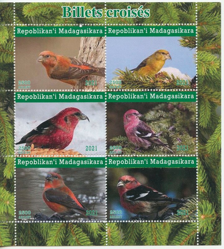 MADAGASCAR - 2021 - Birds #2 - Perf 6v Sheet - Mint Never Hinged