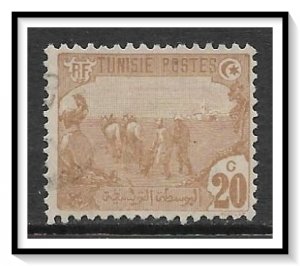 Tunisia #38 Plowing Used