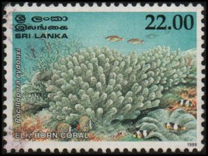 Sri Lanka 1290 - Used - 22r Elk-horn Coral (1999) (cv $1.40)