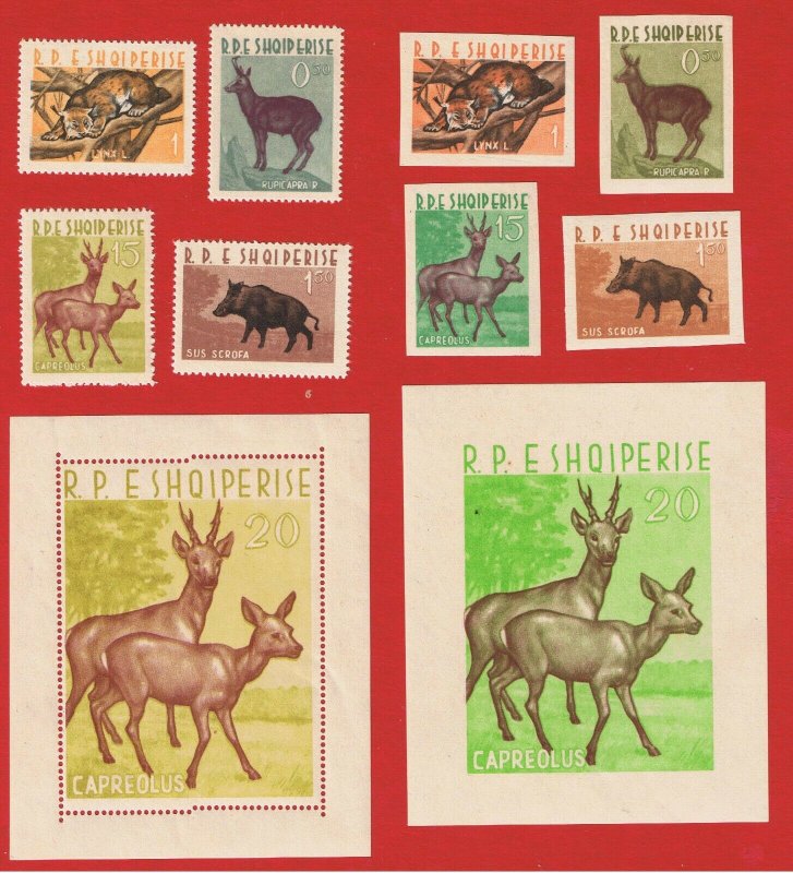 Albania #639-643 MNH OG imperforate & perforated  Animals w/Souvenir Sheets