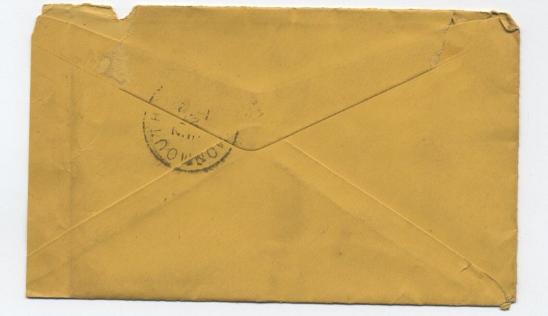 1893 Tustin City CA 2ct small banknote cover fancy star cancel [H.2986] 
