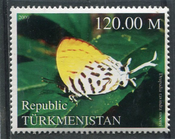 Turkmenistan 2000 BUTTERFLY 1 value Perforated Mint (NH)