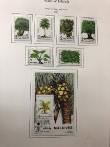MALDIVE ISLANDS – BEAUTIFUL MINT COLLECTION IN 2 PALO ALBUMS – 421792