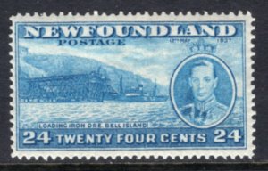 Newfoundland 241 MNH VF