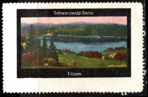 Vintage Germany Poster Stamp Black Forest Series Titisee Unused