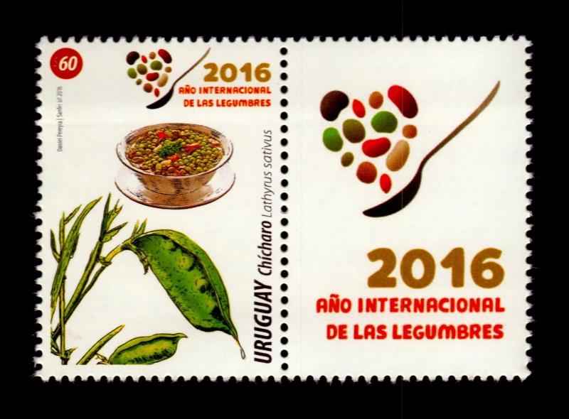 2016 URUGUAY food international year of vegetables spoon lathyrus sativus