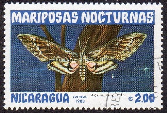 Nicaragua 1235 - Used - Moth (Agrius cingulata)