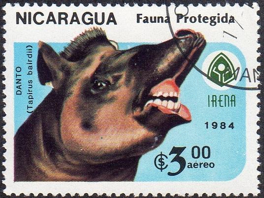 Nicaragua 1393 - Cto - 3cor Baird's Tapir Baring Teeth (1984) (cv $0.30) (2)