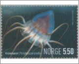 NK 1525   Helmet Jellyfish (Periphylla periphylla) 5.5 Krone Multicolor