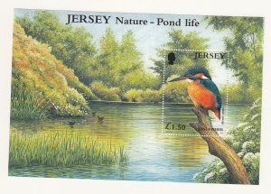 Jersey 2001 Pondlife M/Sheet -  NHM