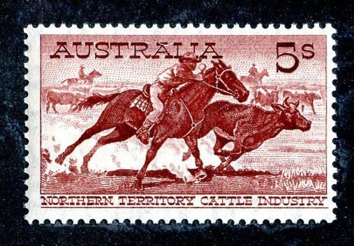 1964 Australia Sc #331a white MNH** cv.$120 ( 385 Australia )