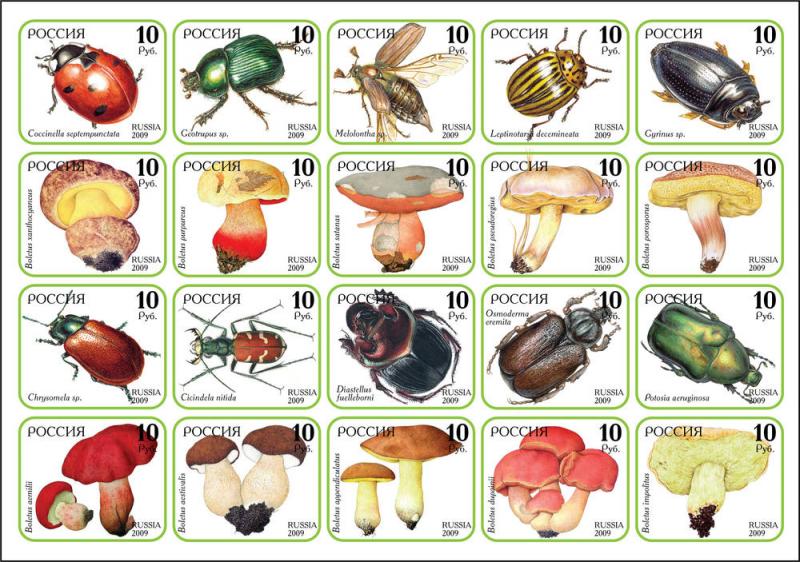 RUSSIA LOCAL SHEET IMPERF MUSHROOMS BEETLES INSECTS