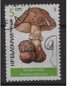 Bulgaria 1987 - Scott 3232 used - 5s, Mushrooms 