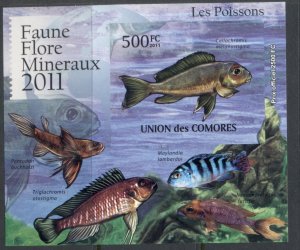 Comoro Is 2011 Freshwater Fish, Cichlids Deluxe MS IMPERF MUH